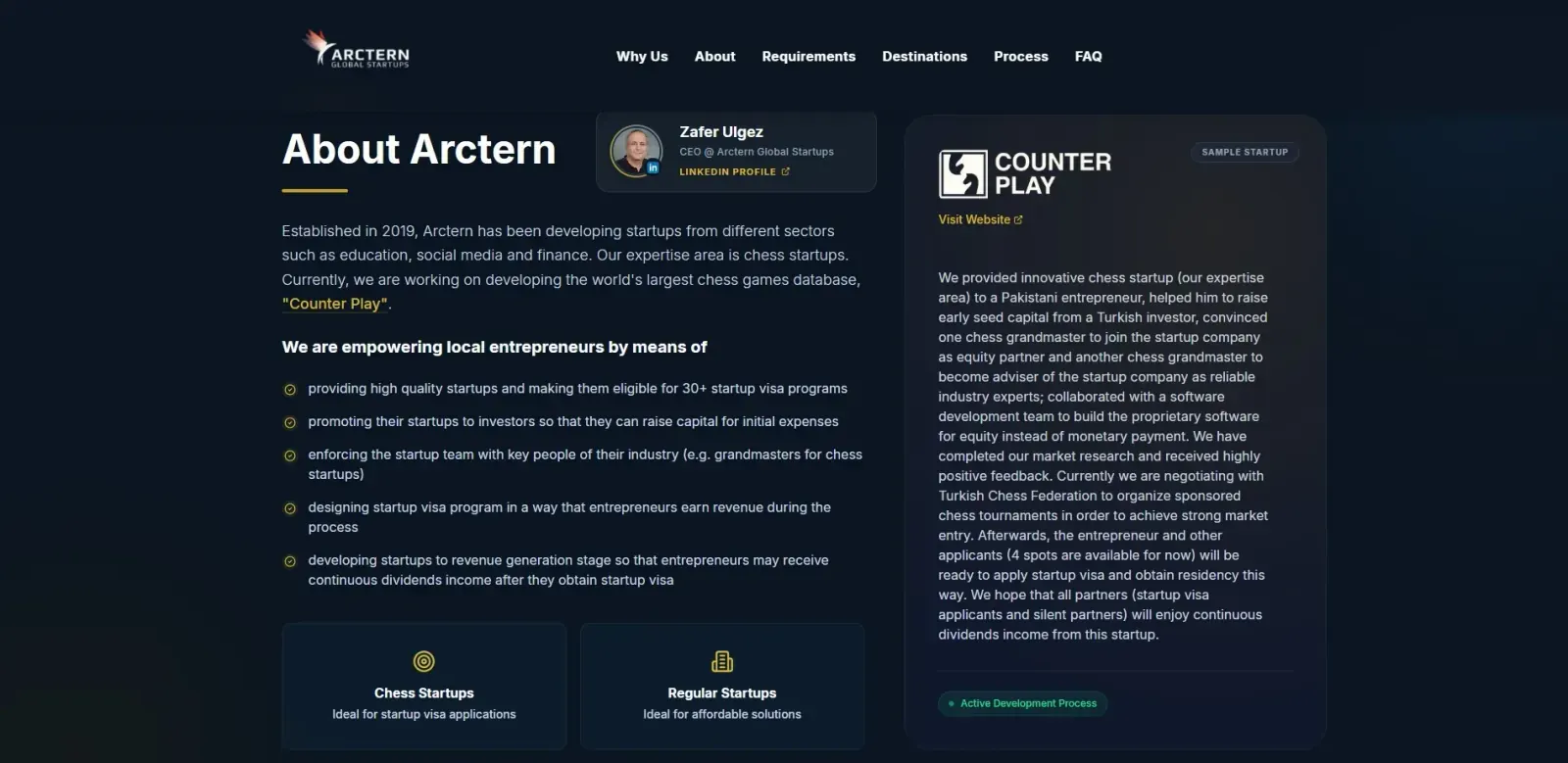 Arctern Global Startups — ekran 1
