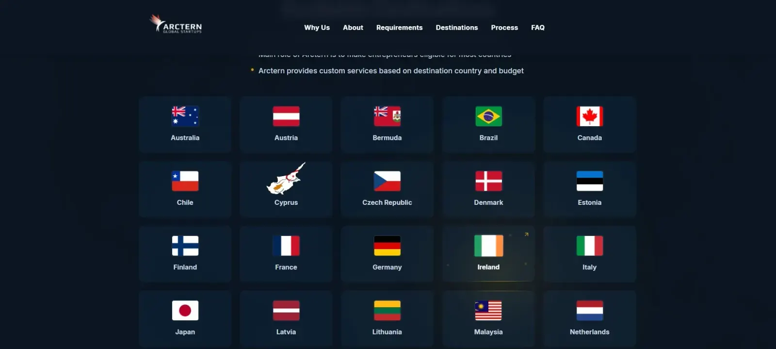 Arctern Global Startups — ekran 2