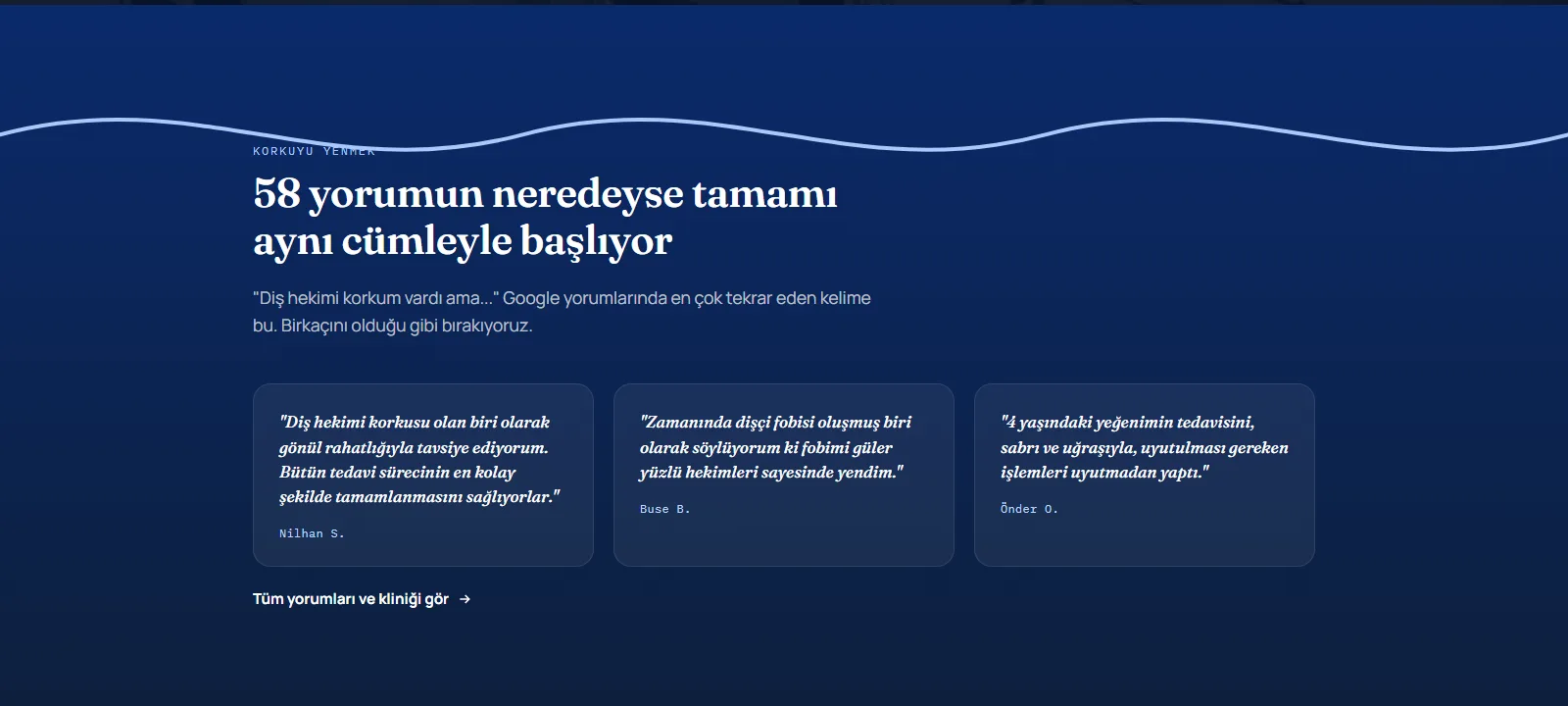 Dent Mavi — Trabzon Diş Kliniği Web Sitesi ve Yerel SEO Altyapısı — ekran 2